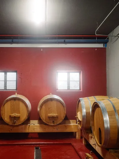 Wooden barrels in the red cellar hall