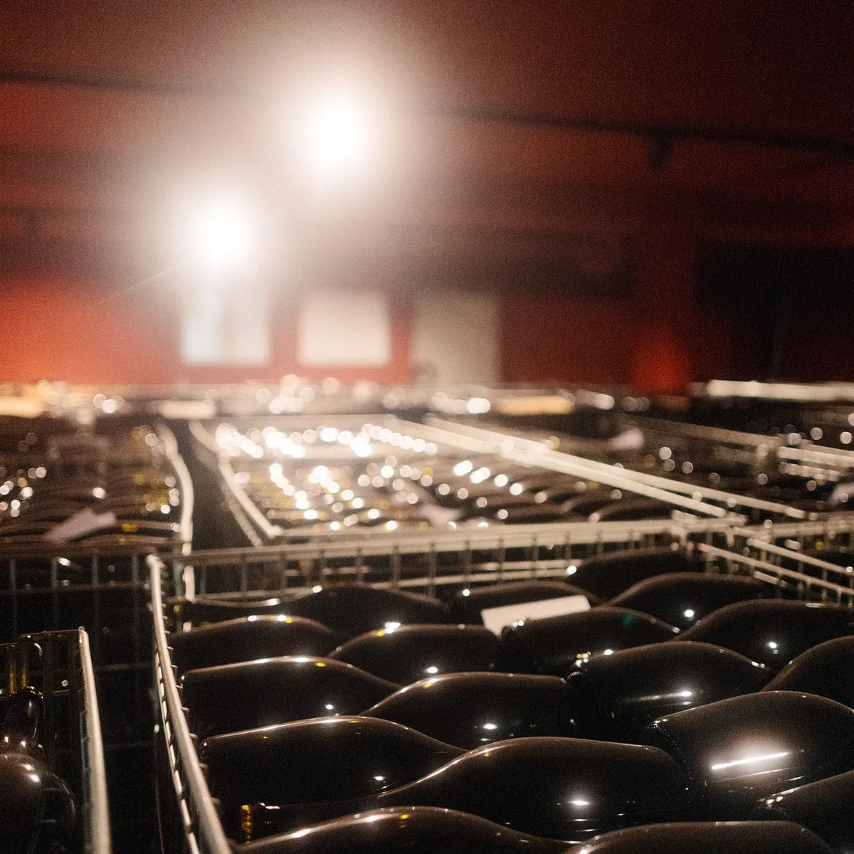 Wire crate full of sparkling wine bottles lying in the cellar