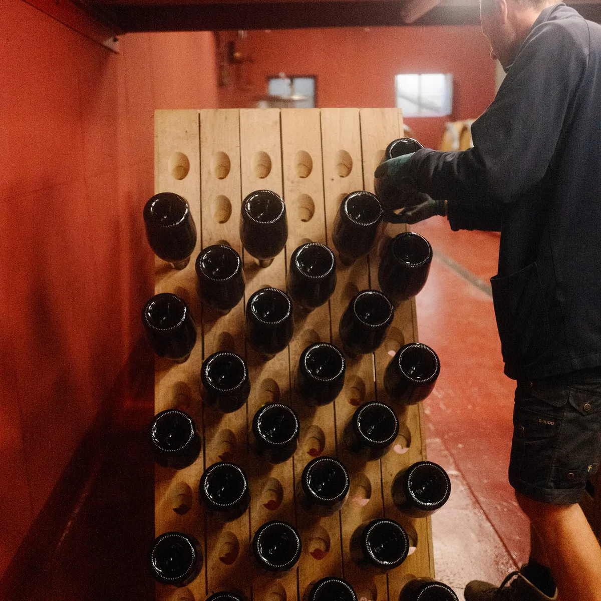 Winemaker riddling bottles at the riddling rack