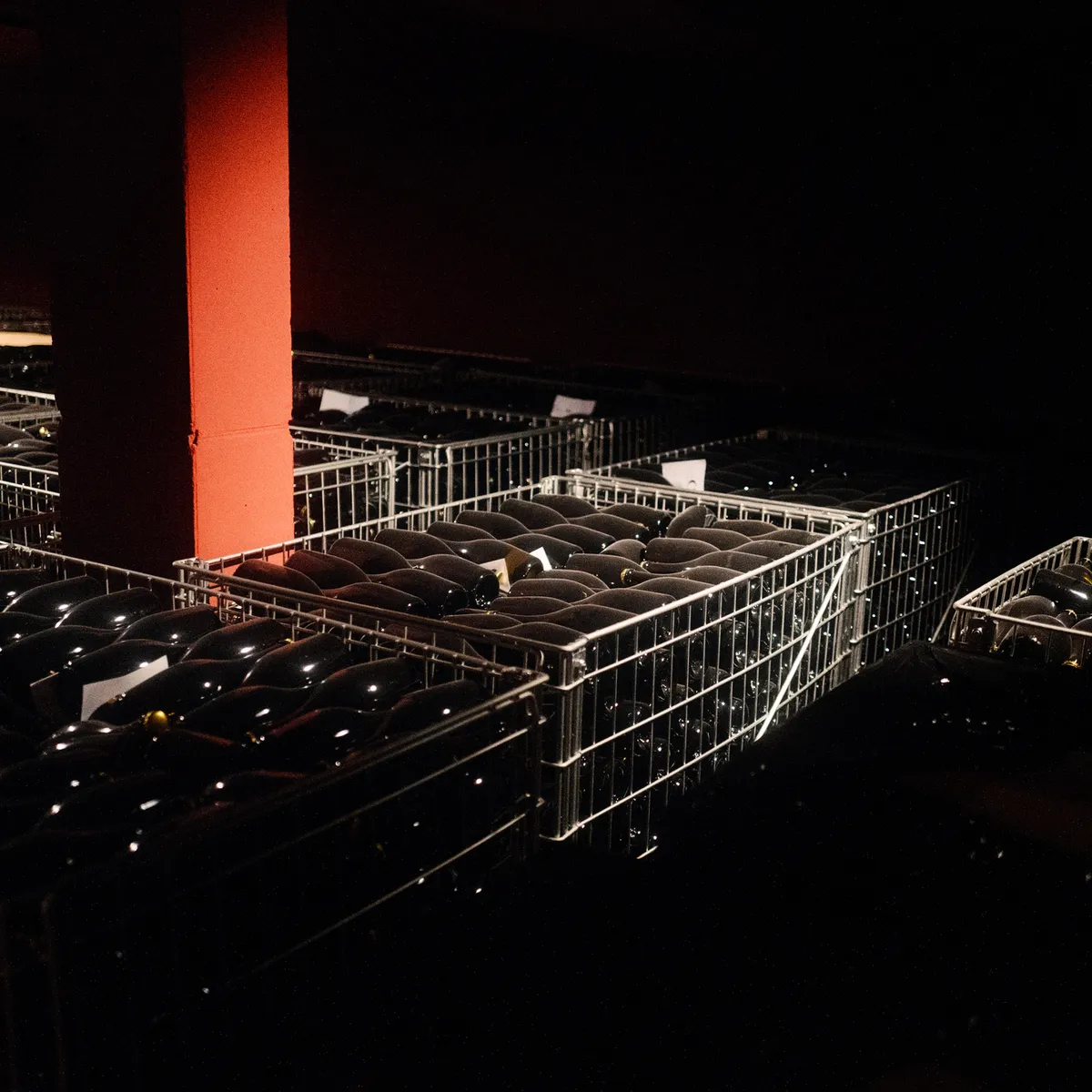 Wire crates full of sparkling wine bottles in the dark cellar
