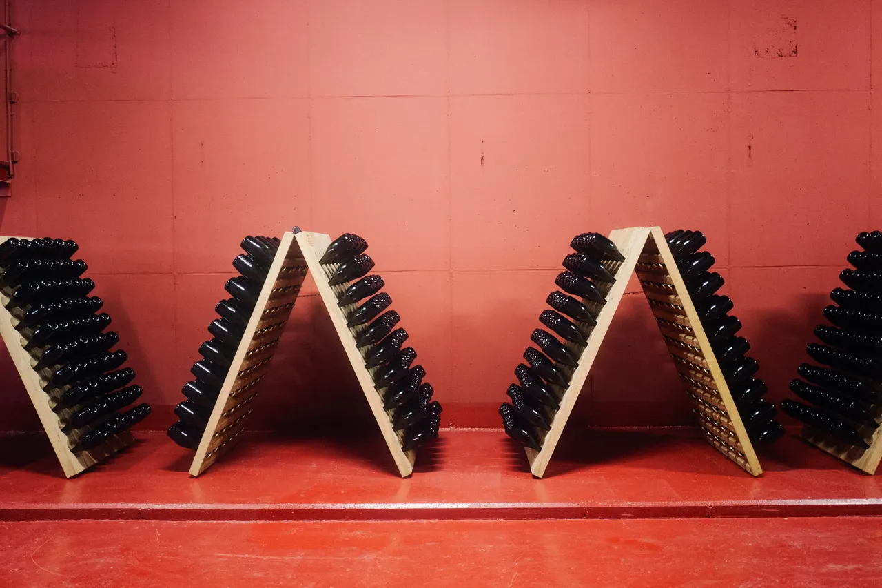 Riddling racks with sparkling wine bottles against a red wall